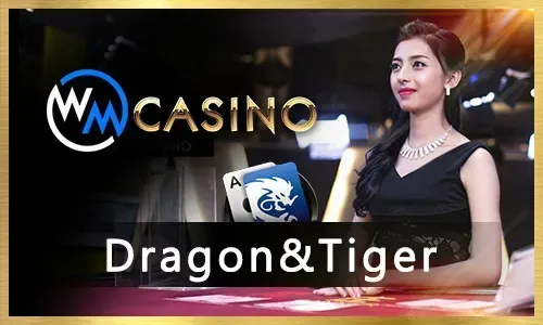 Diverse Casino Games at 365ph
